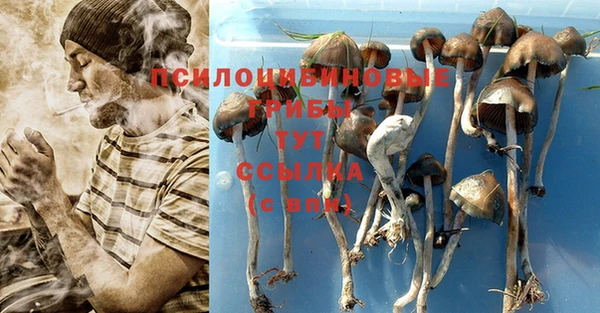 MESCALINE Алзамай